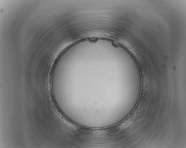 X0000074340848200609011626