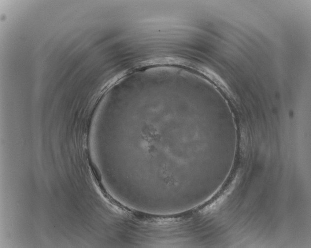 X0000074340849200609011626