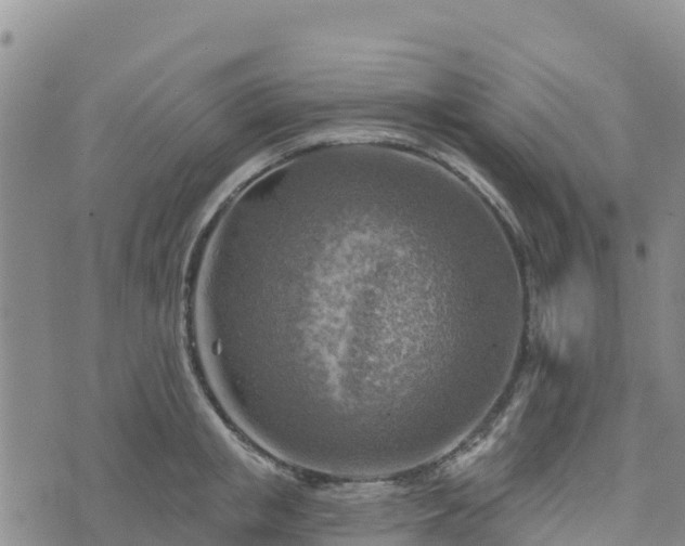 X0000074340853200609011626