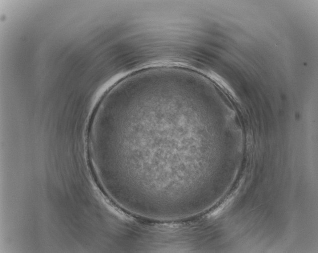 X0000074340854200609011626