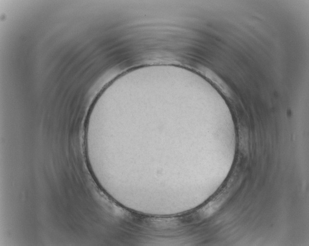 X0000074340856200609011626