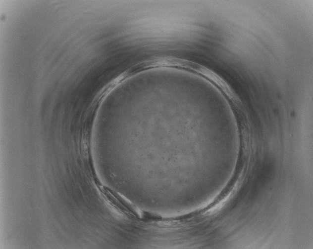 X0000074340857200609011626