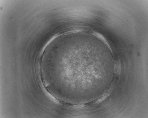 X0000074340859200609011626