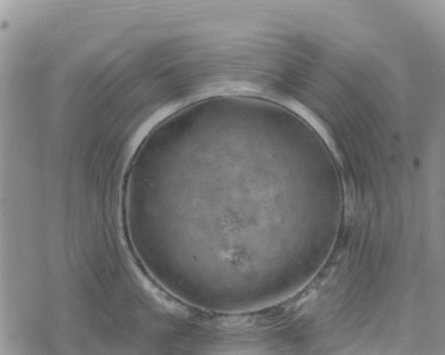 X0000074340861200609011626