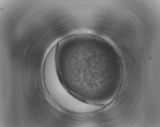 X0000074340864200609011626