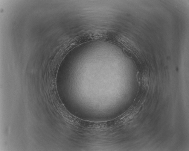 X0000074340865200609011625