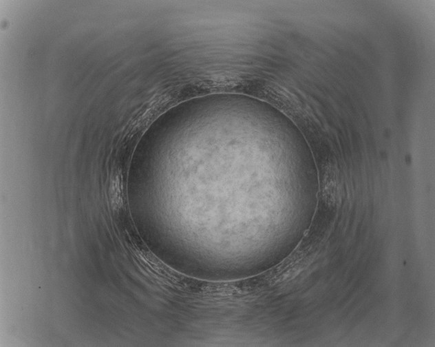 X0000074340866200609011625