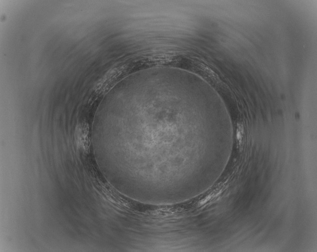 X0000074340867200609011625