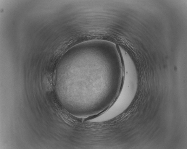 X0000074340868200609011625