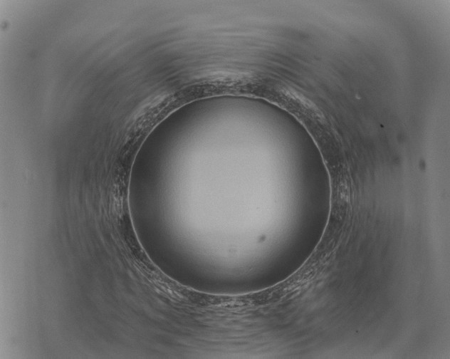 X0000074340869200609011625