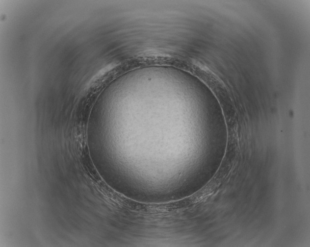 X0000074340870200609011625