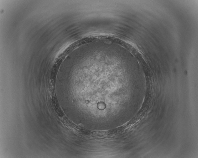 X0000074340871200609011625