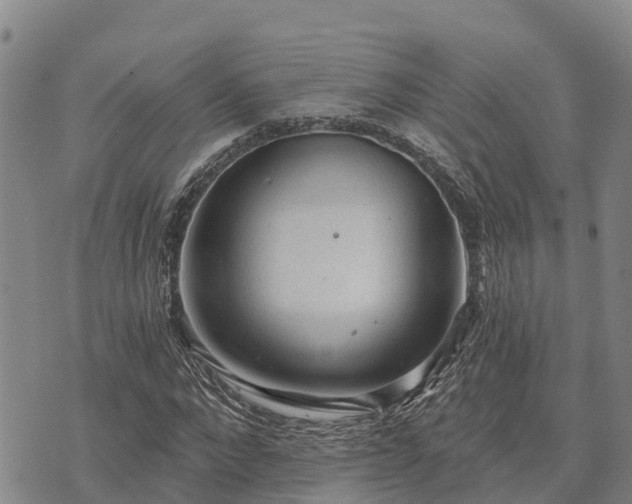 X0000074340872200609011625