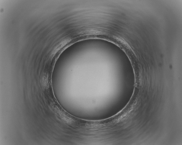 X0000074340873200609011625