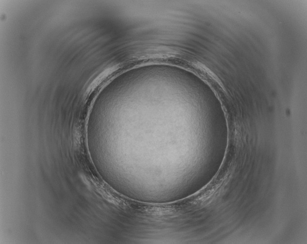 X0000074340874200609011625