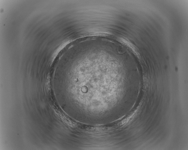 X0000074340875200609011625