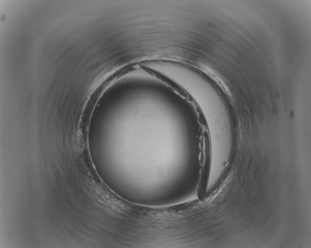 X0000074340876200609011625