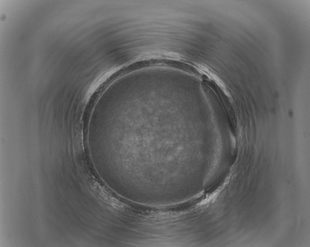 X0000074340877200609011625