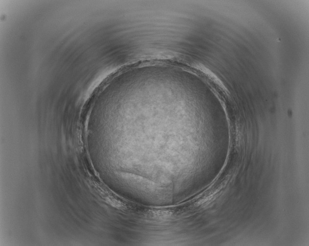 X0000074340878200609011625