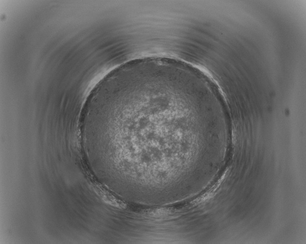 X0000074340879200609011625