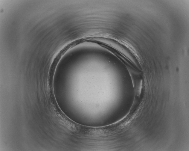 X0000074340880200609011625