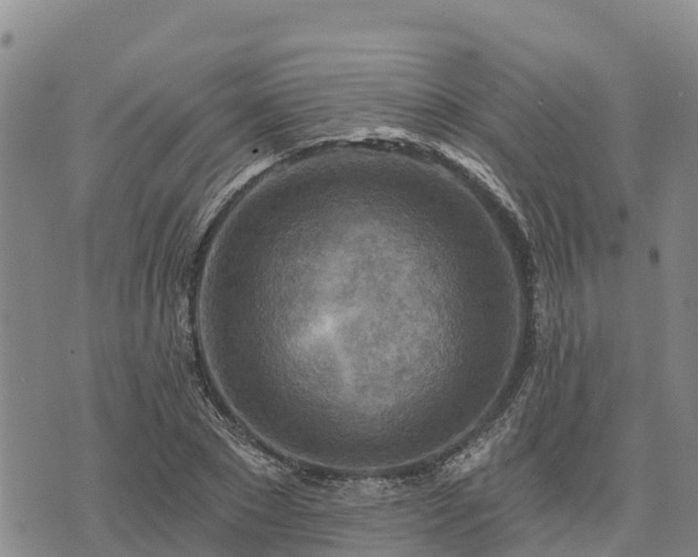 X0000074340881200609011625