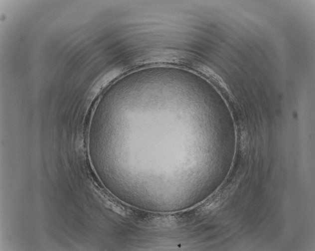 X0000074340882200609011625