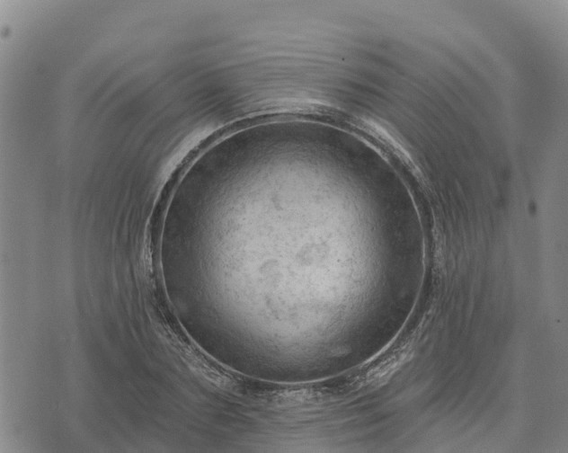 X0000074340883200609011625