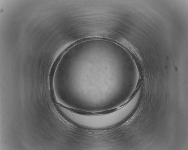 X0000074340884200609011625