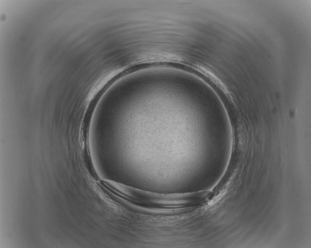 X0000074340885200609011625