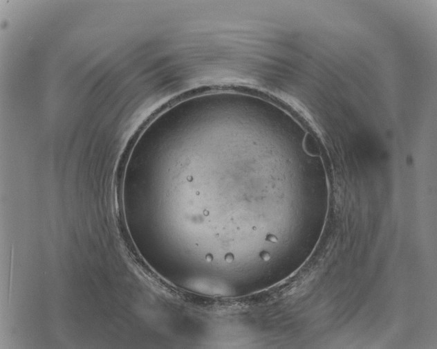 X0000074340887200609011625