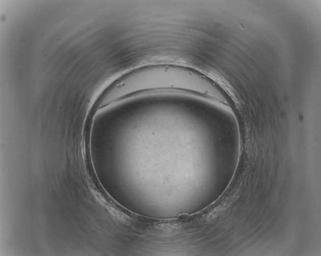 X0000074340888200609011625