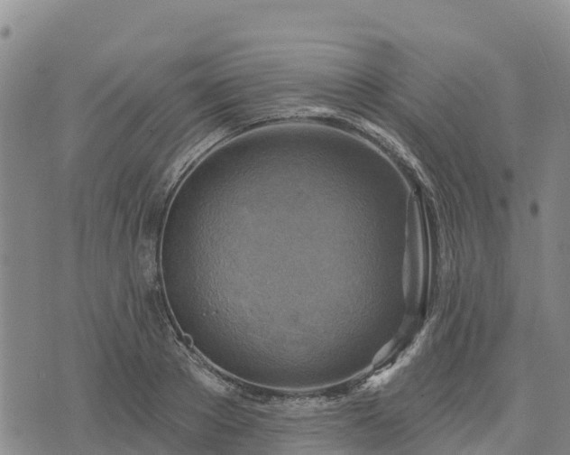 X0000074340889200609011625