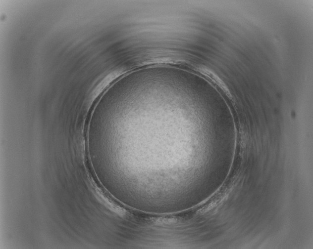 X0000074340890200609011625