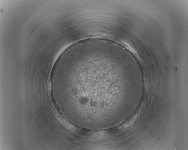 X0000074340891200609011625