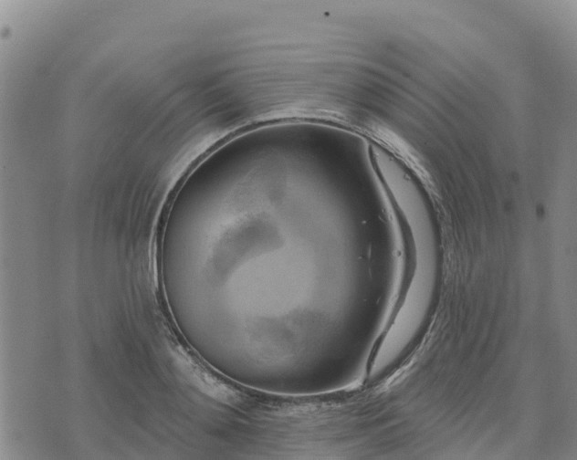 X0000074340892200609011625