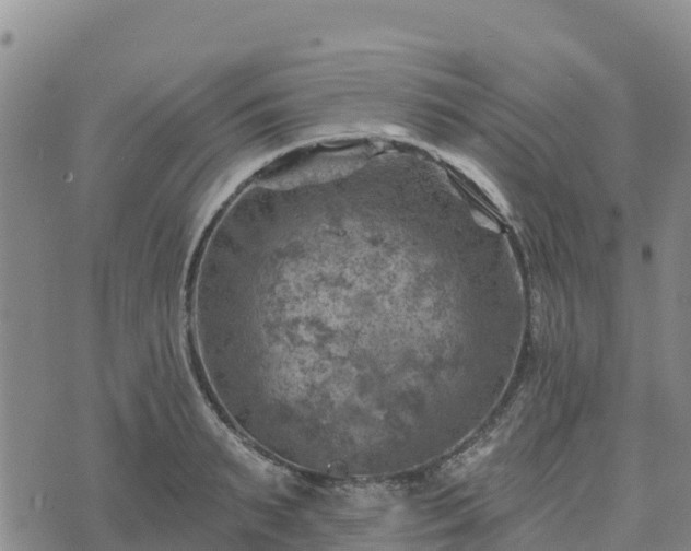 X0000074340895200609011625