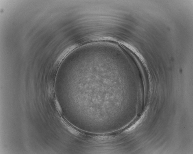 X0000074340897200609011625