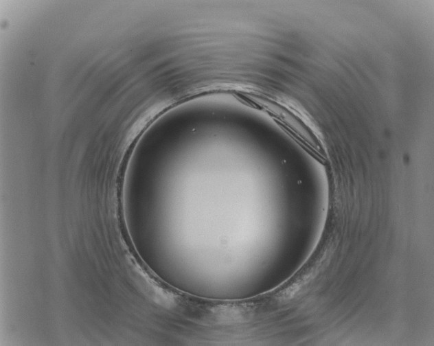 X0000074340898200609011625