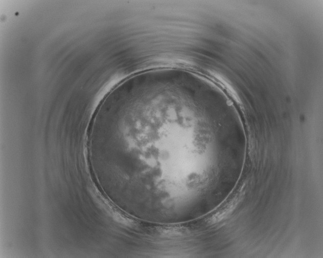 X0000074340899200609011625