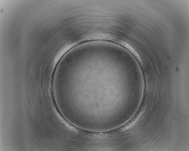 X0000074340901200609011625