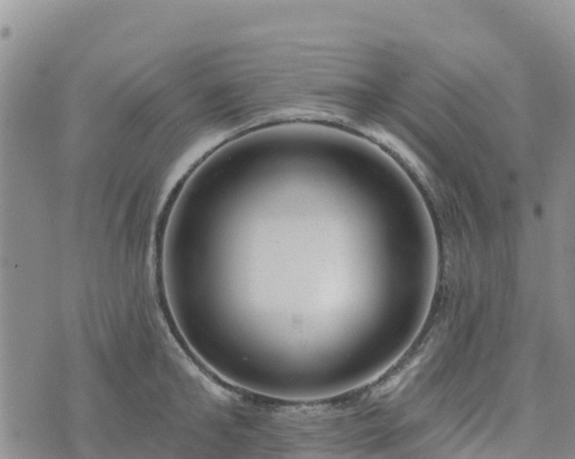 X0000074340902200609011625