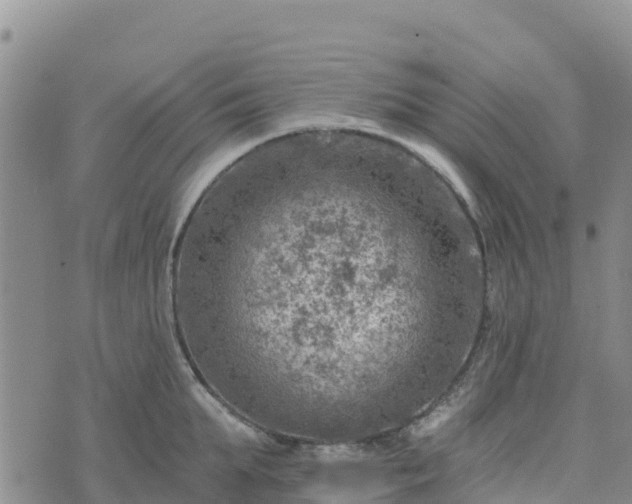 X0000074340903200609011625