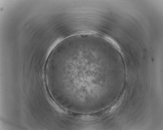 X0000074340907200609011625