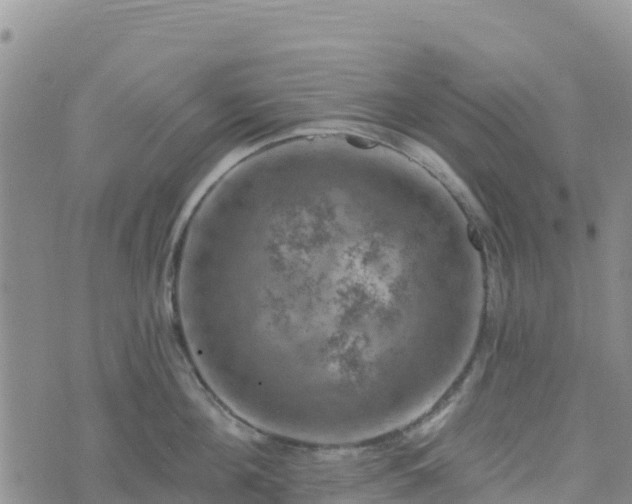 X0000074340908200609011625