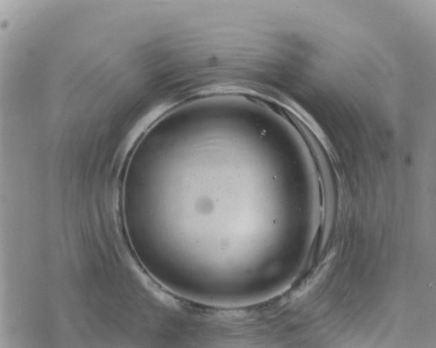 X0000074340909200609011625