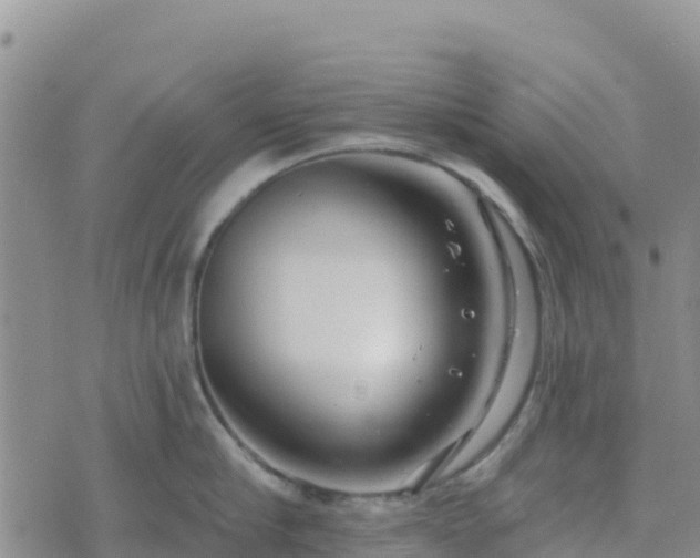 X0000074340910200609011625