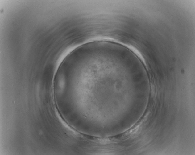 X0000074340911200609011625