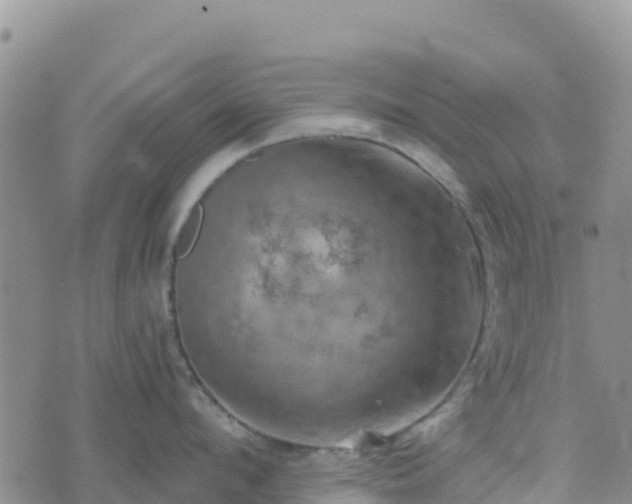 X0000074340912200609011625