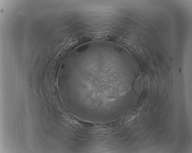 X0000074340913200609011624